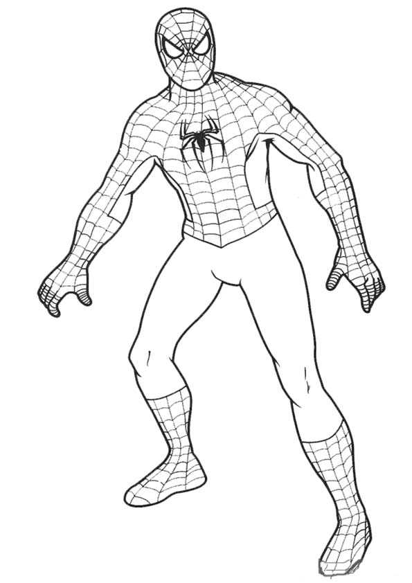 malvorlagen spiderman 2