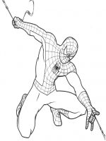 Spiderman 5
