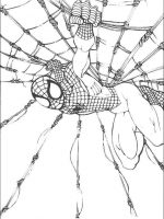 Spiderman 8
