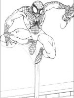 Spiderman 9