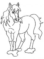 Pferde 2