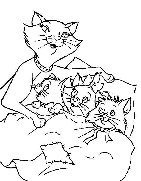 Familie der Katzen