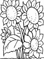 Blumen 1
