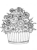 Blumen 3