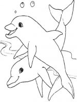 Tiere 9