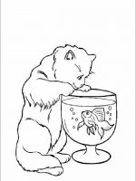 Tiere 16