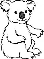 Tiere 6