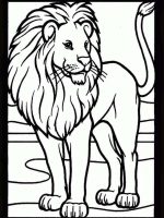 Tiere 12