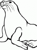 Tiere 14