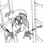 Spiderman 17