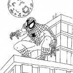 Spiderman 18