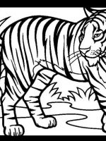 Tiere 4