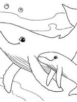 Tiere 5