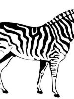 Tiere 8