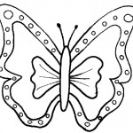 Schmetterling  1