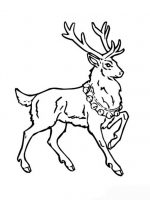 Weihnachten 7