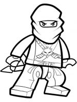 Ninjago 13
