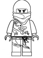 Ninjago 14
