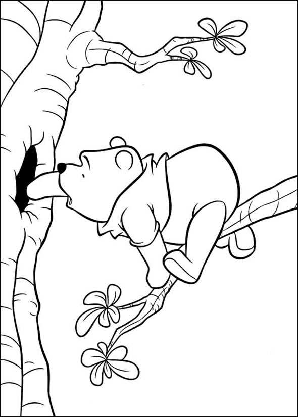 Winnie Pooh sucht Honig Baum