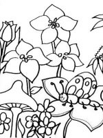 Frühling 7