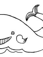 Fische (1)