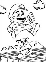 Mario 1