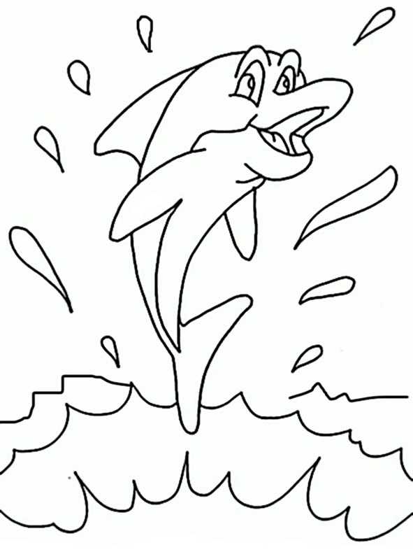 ausmalbilder delfine bilder 2
