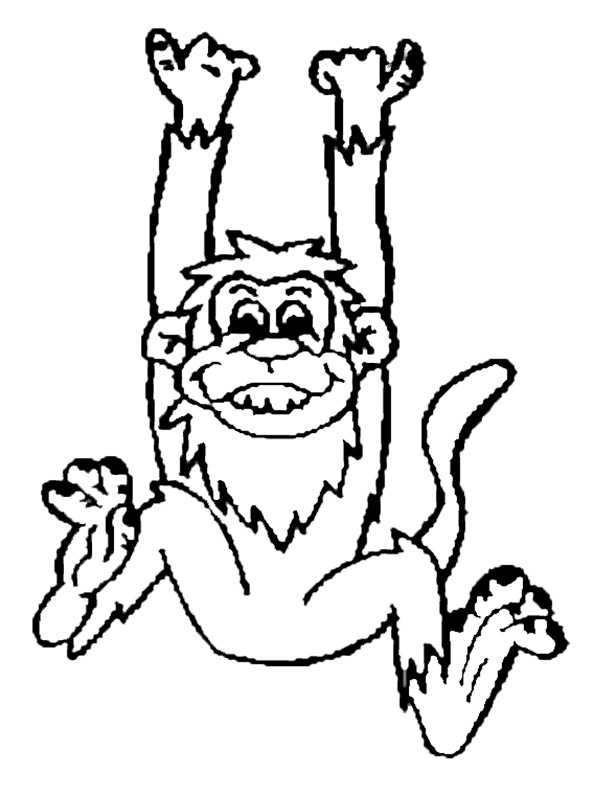 ausmalbild Affe (5)